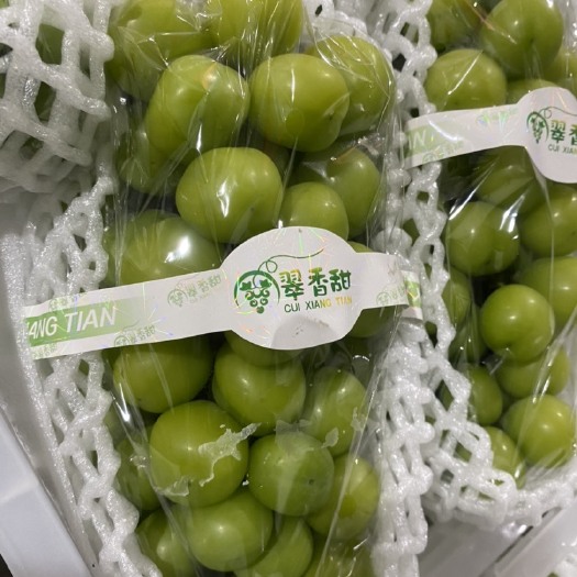 嘉兴嘉兴精品阳光玫瑰！产地代办有需要联系