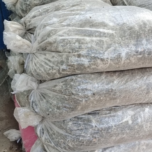 和平县鸽子粪大量批发供应汕头，梅州，江西，广西，福建