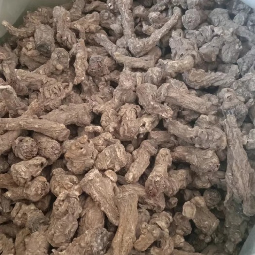 陇西县当归干货，符合2020药典60-75头现货1吨价格急出