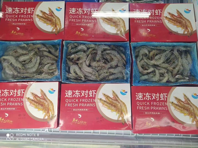 濟南國產鹽凍大蝦