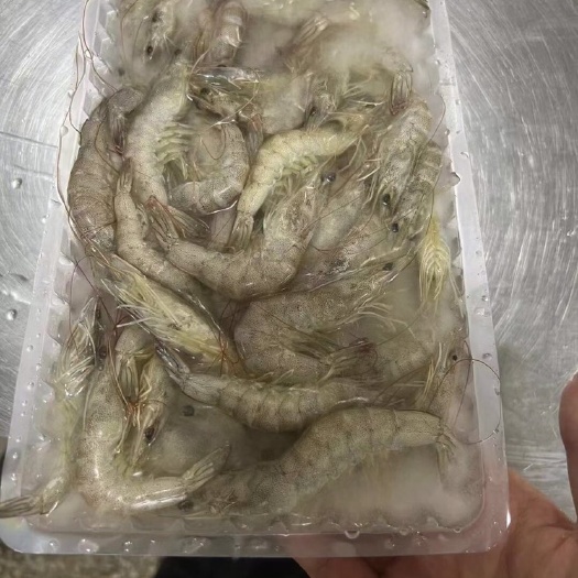 北海50-60头明虾批发，有意者请联系