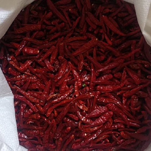 郓城县艳红干辣椒