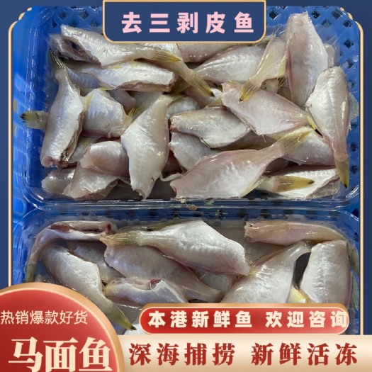 马面鱼  剥皮鱼又叫耗儿鱼 去三 一盒装 精选品质 全国发货
