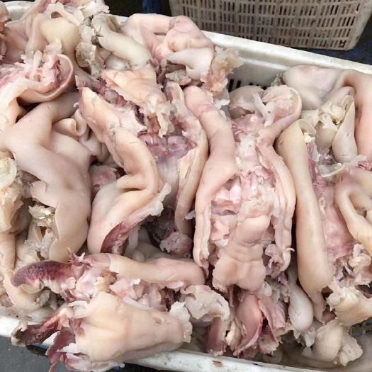 博爱县牛副产品