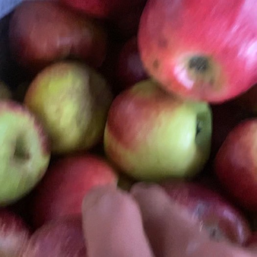 陆良县华硕苹果 鲁丽苹果 有次果现货2吨左右。果锈 和少许斑点
