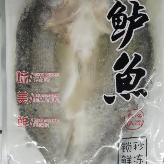 开背海鲈鱼