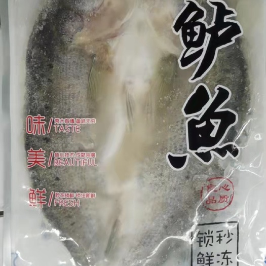 济南开背海鲈鱼