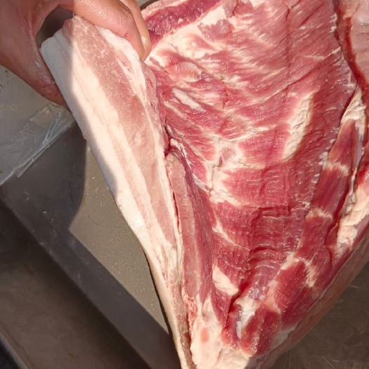 临沂一级带皮大五花  酒店   食堂快餐红烧肉用的产品手续齐全1