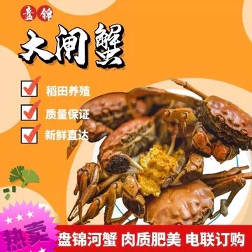 【超低价】盘锦精品大闸蟹保肥精品六月黄社区团购批发全国发货