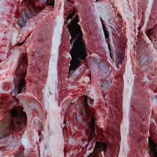 河间市羔羊加肉羊蝎子，厂家直销，肉含量可见