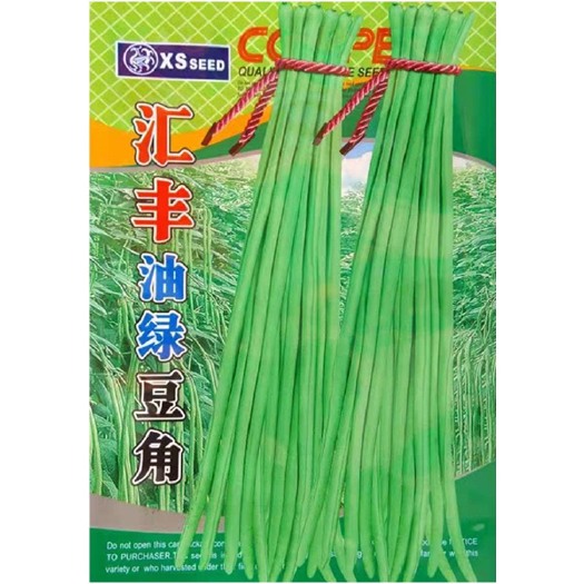 邵东市基地种植豇豆品种  汇丰油绿豆角种子（400克）豆荚油绿光泽