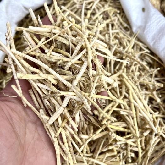 广州白茅根 毛根 足干茅根 无硫 实物拍摄