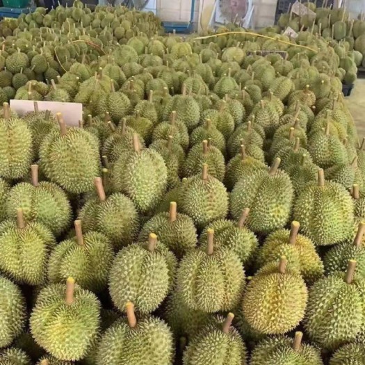 凭祥市越南榴莲