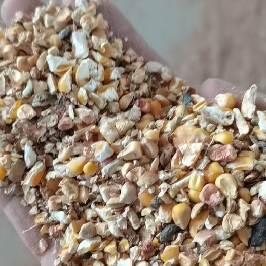 聊城碎玉米过风粮  大量现货供应