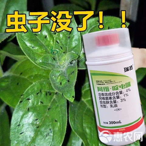 阿维·啶虫脒 苹果树蚜虫蓟马白粉虱杀虫剂