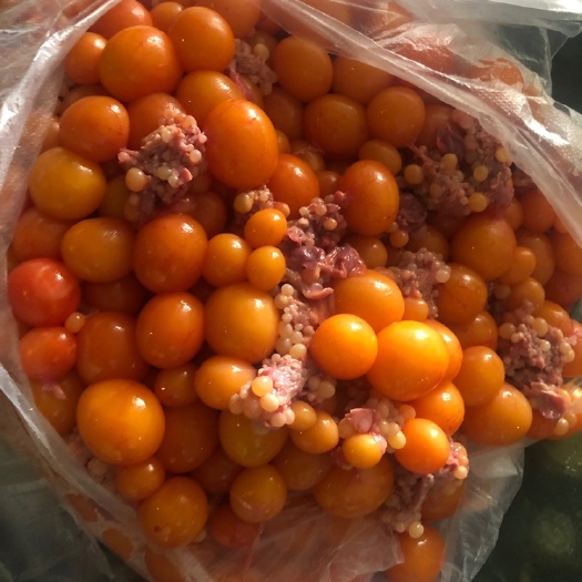 庆云县小鸡蛋