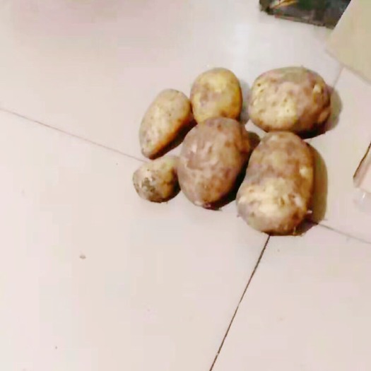 齐齐哈尔尤金885土豆儿，淀粉含量高，入口绵柔！