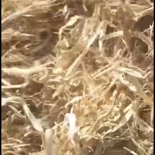邯郸柔丝玉米秸秆压块干白净