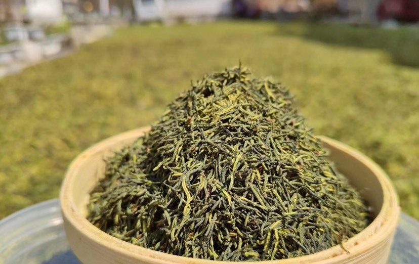 康县杜仲雄花