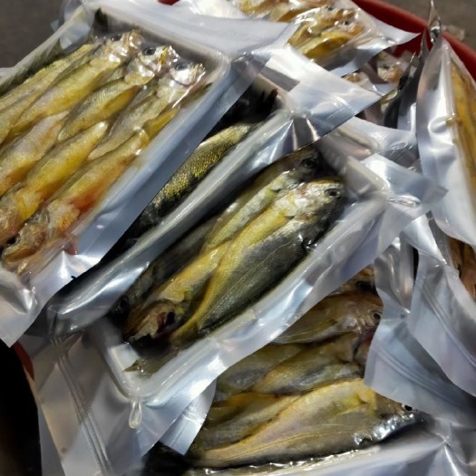 鲜冻小黄鱼新鲜冷冻小黄鱼海鲜水产批发社区团购烧烤食材黄花鱼