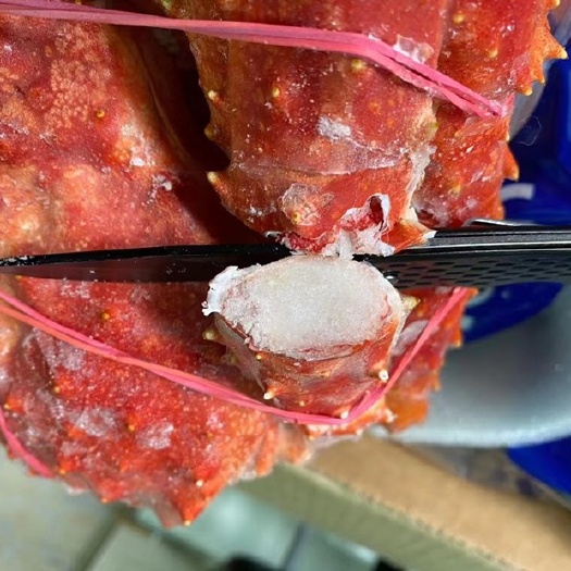 上海帝王蟹