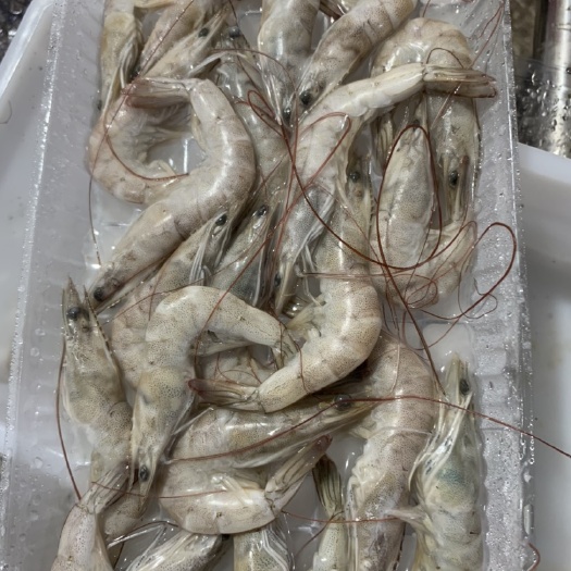 南美白对虾,气冻,盐冻,板冻全规格订做,基地直供虾,自有工厂