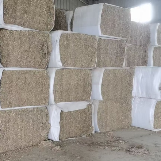 天津揉丝玉米秸秆大白包280公斤