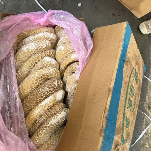 广州佳乐2168金钱肚，20公斤定装，95成