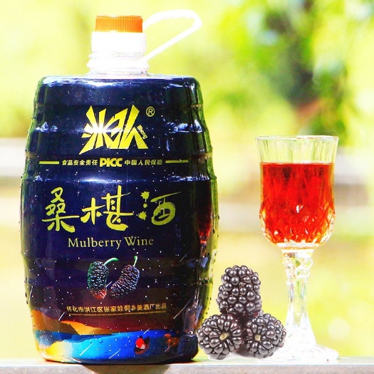 怀化桑甚酒5斤 12度 水果酒 杨梅酒湖南厂家直销批发