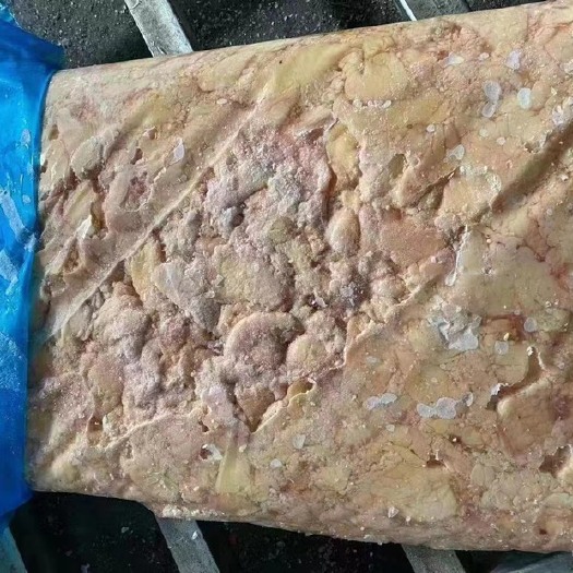秦皇岛鸡板油