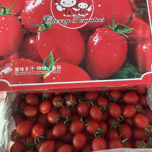 平度市釜山88精品大果