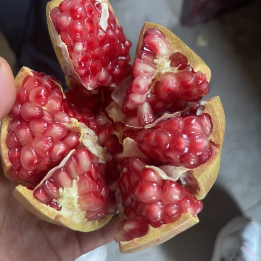 蒙自市突尼斯