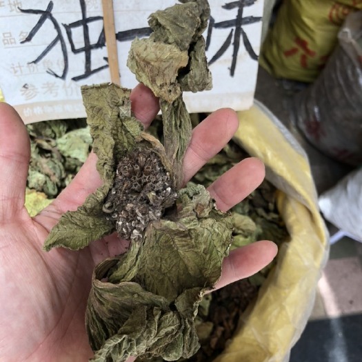 玉林独一味叶中药材 正品新货独一味无硫独一味500克
