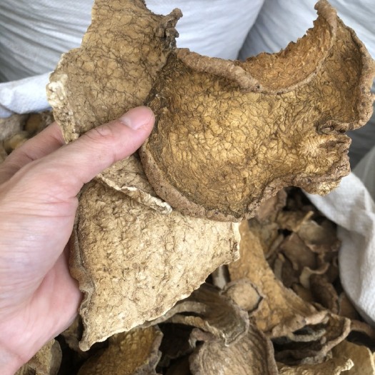 玉林广西千金藤 根块石琴薯 金不换 地不容 干货