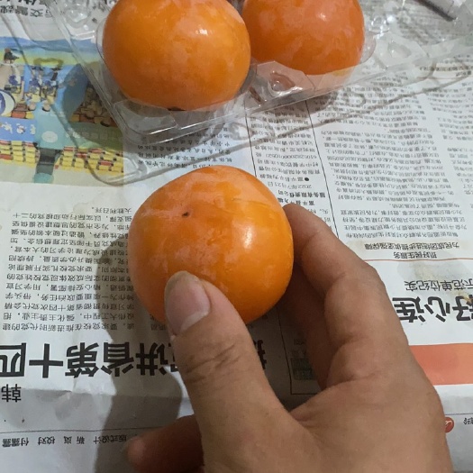 大荔县七月黄大量上市，产地价
