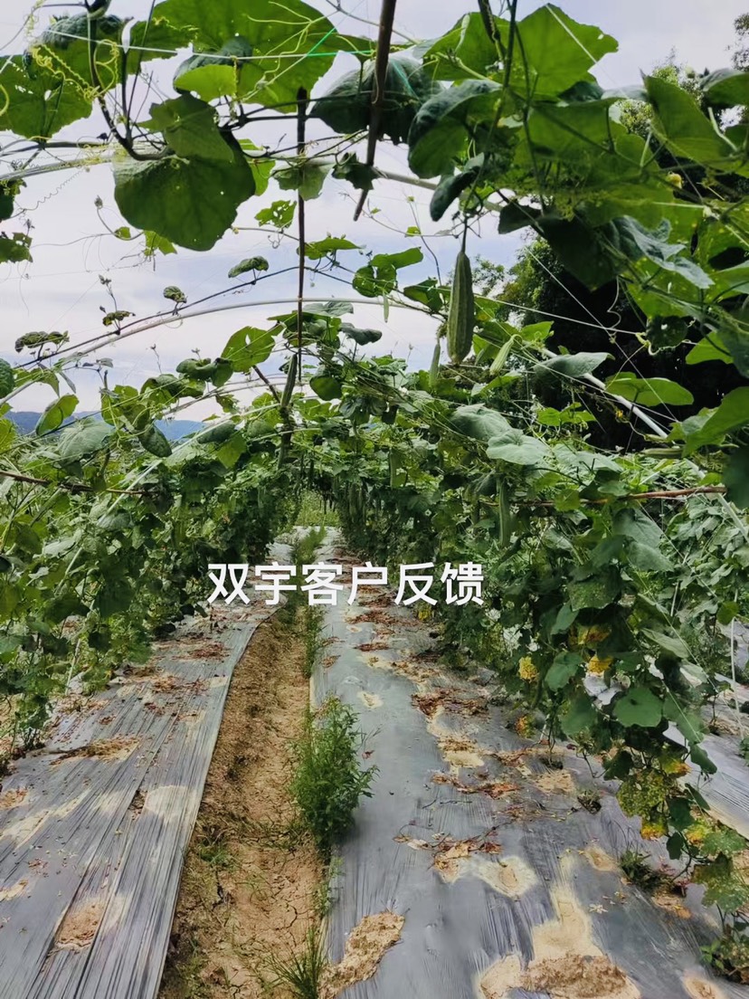 东莞市新型玻璃纤维杆 一杆多用 夏天种植蔬菜不烫苗 冬天作保温大棚