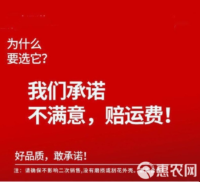 LED头灯强光超亮头戴式手电筒户外家用远射充电夜钓鱼小氙气矿