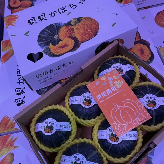金华宝宝辅食贝贝小南瓜