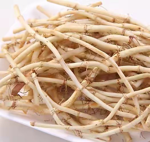 开平市鱼腥草