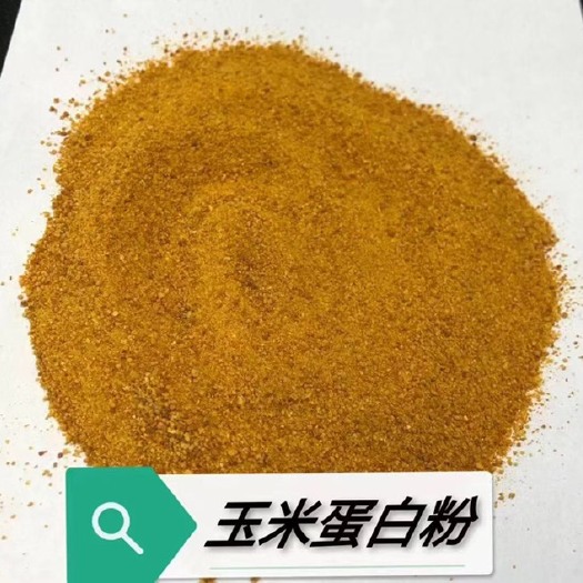 正定县喷浆玉米蛋白粉：蛋白60，水分12，灰分2，价格便宜，毒素不