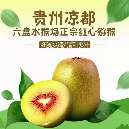 水城红心猕猴桃，火热销售中，自家种植，纯一手货源