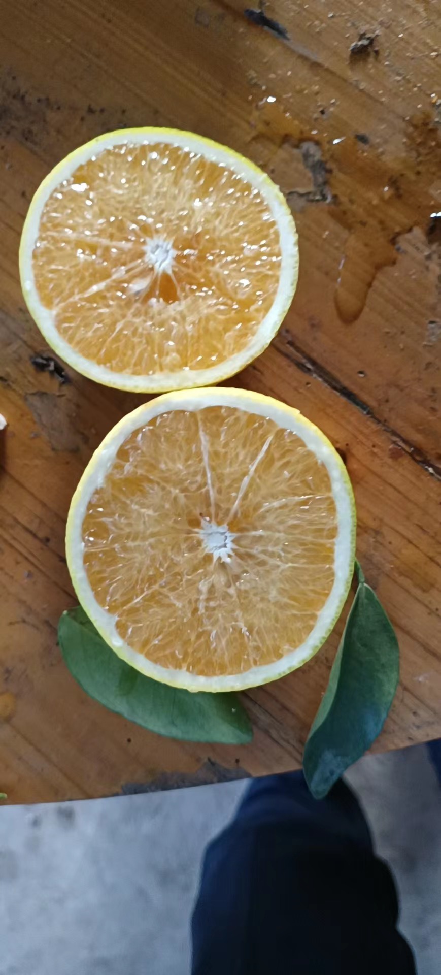 海南绿橙 水分充足 味甜 回甘