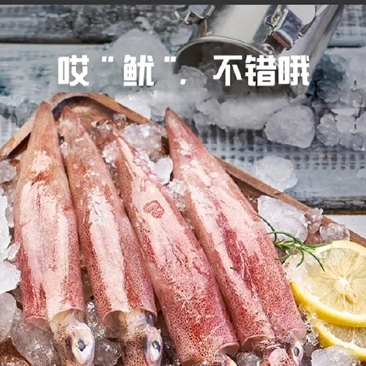 福州鱿鱼 白灼鱿鱼 东山鱿鱼 东山小管 红鱿 不缩水鱿鱼