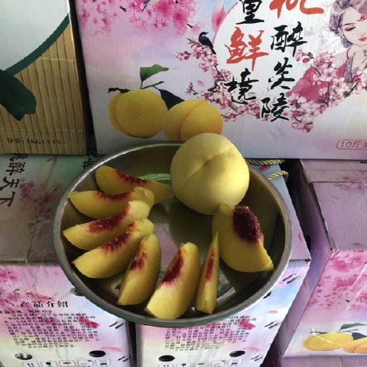 邵东市炎陵高山黄桃