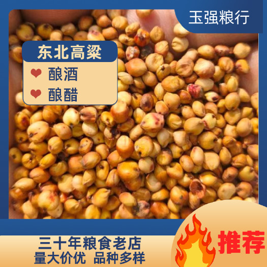 聊城东北红高粱。水分14≤%   容重≥750，粗淀粉≥70