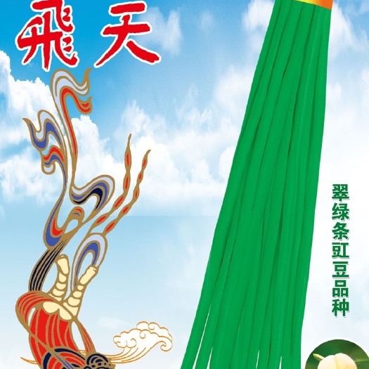 郑州豆角种子耐寒豇豆种翠绿色无鼠尾早春大棚产量高抗病强结的多春秋