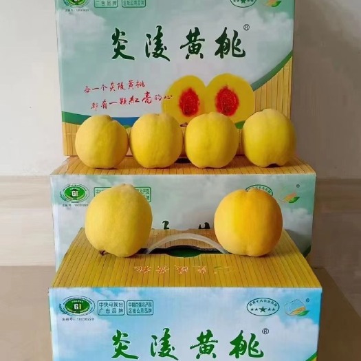 炎陵县湖南正宗炎陵黄桃，一件代发。