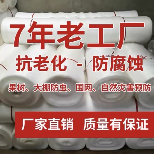 济南防虫网大棚专用加厚蔬菜网罩青蛙养殖网农用果树抗老化纱网防蚊网