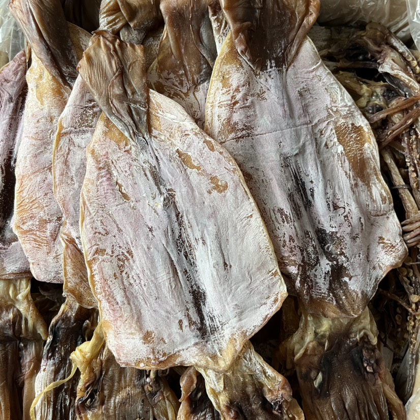 荣成市鱿鱼阿根廷鱿鱼干 水发鱿鱼 餐饮 商用 大量批发