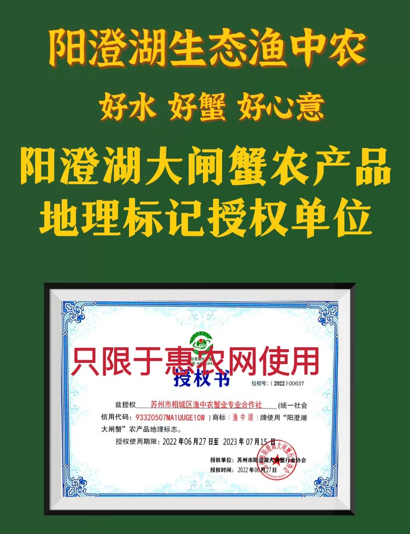 大闸蟹阳澄湖镇大闸蟹批发大闸蟹礼盒装，中秋送礼、团购一手货源